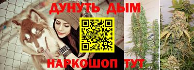 дживик Моздок